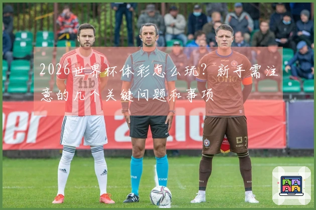 2026世界杯体彩怎么玩？新手需注意的几个关键问题和事项