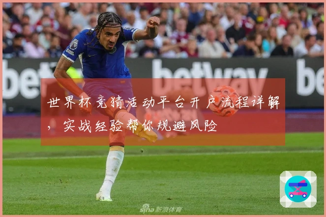 世界杯竞猜活动平台开户流程详解，实战经验帮你规避风险