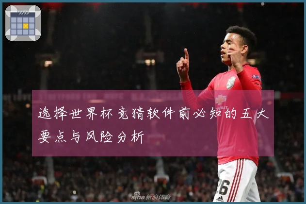 选择世界杯竞猜软件前必知的五大要点与风险分析